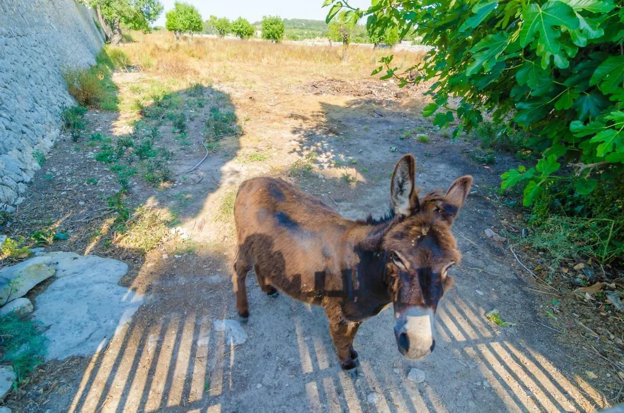 Vila Finca Son Costa Montuïri Španělsko